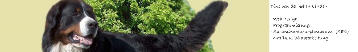 Dino von der Hohen Linde