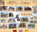 Kopie von Ref_Hefu_Safari